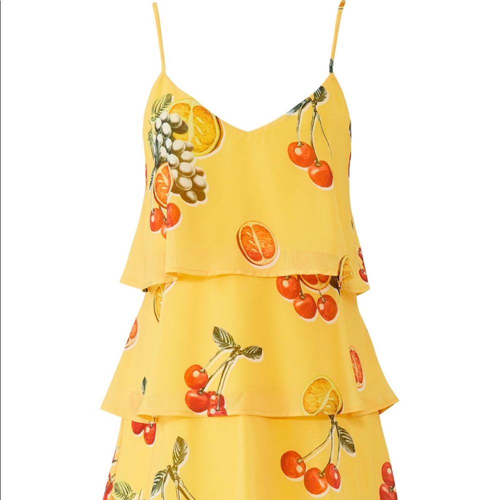 Show Me Your Mumu Suarez Dress